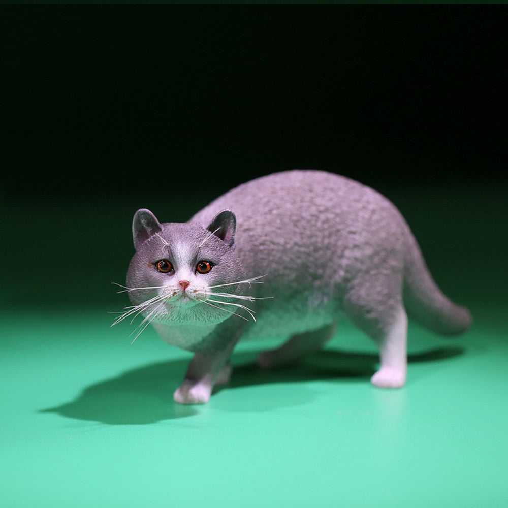 MRZ040 British Shorthair Cat statue from JXK Studio