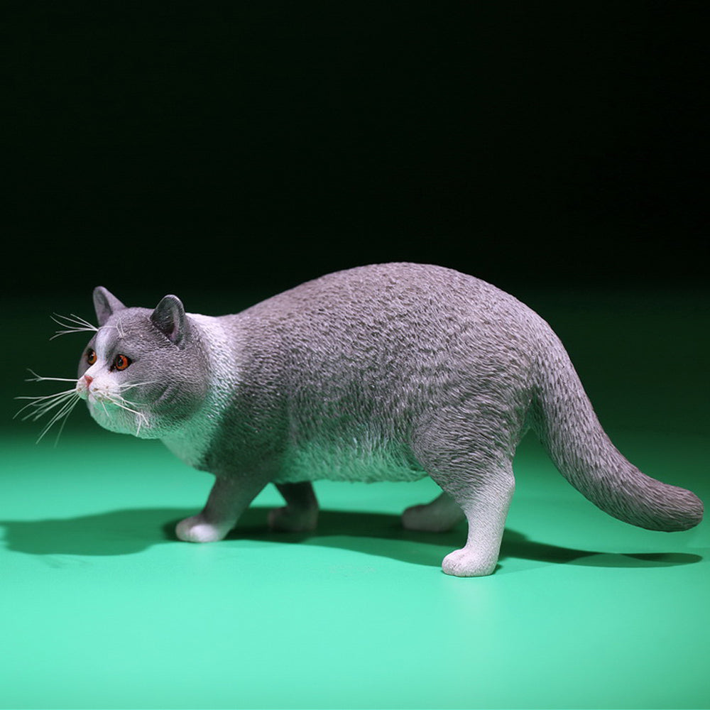 MRZ040 British Shorthair Cat statue from JXK Studio