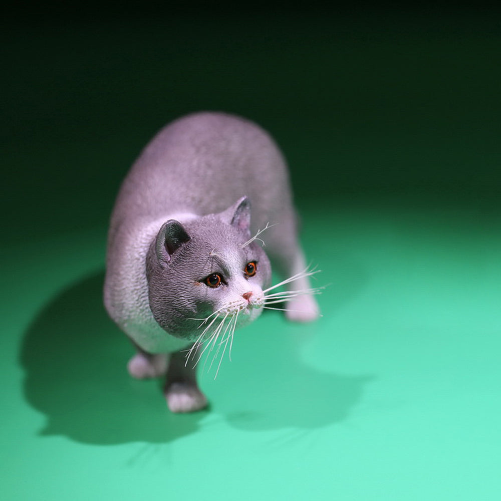 MRZ040 British Shorthair Cat statue from JXK Studio