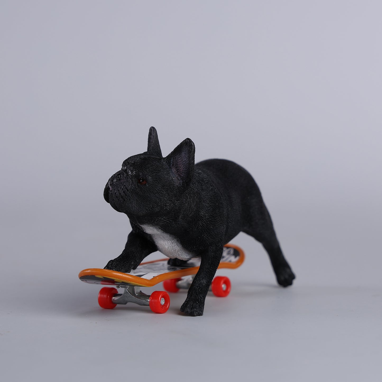 JXK243 1/6 Scale Skateboarding French Bull- dog from JXK Studio