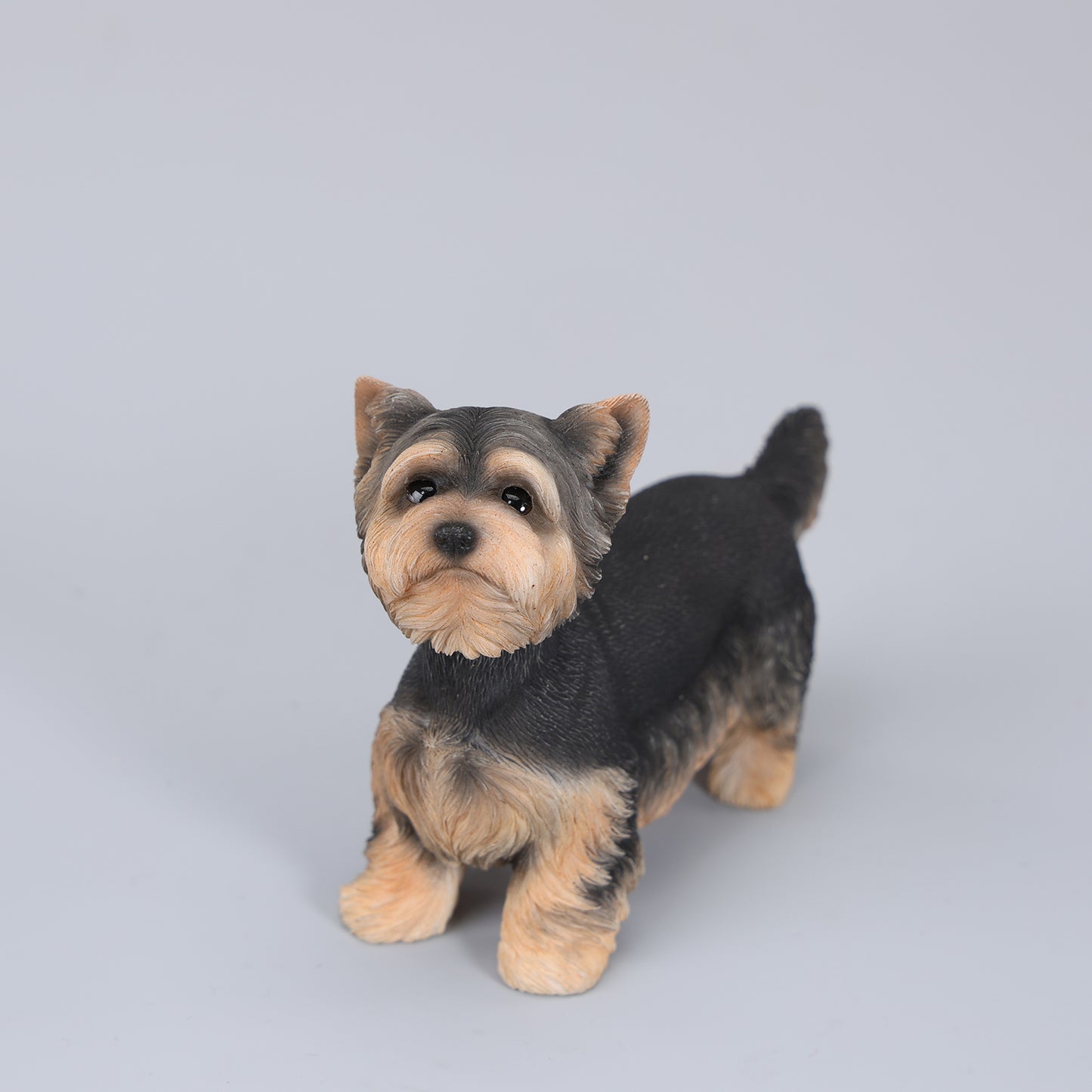JXK229 1/6 Yorkshire Terrier FigurineProduct JXK Studio