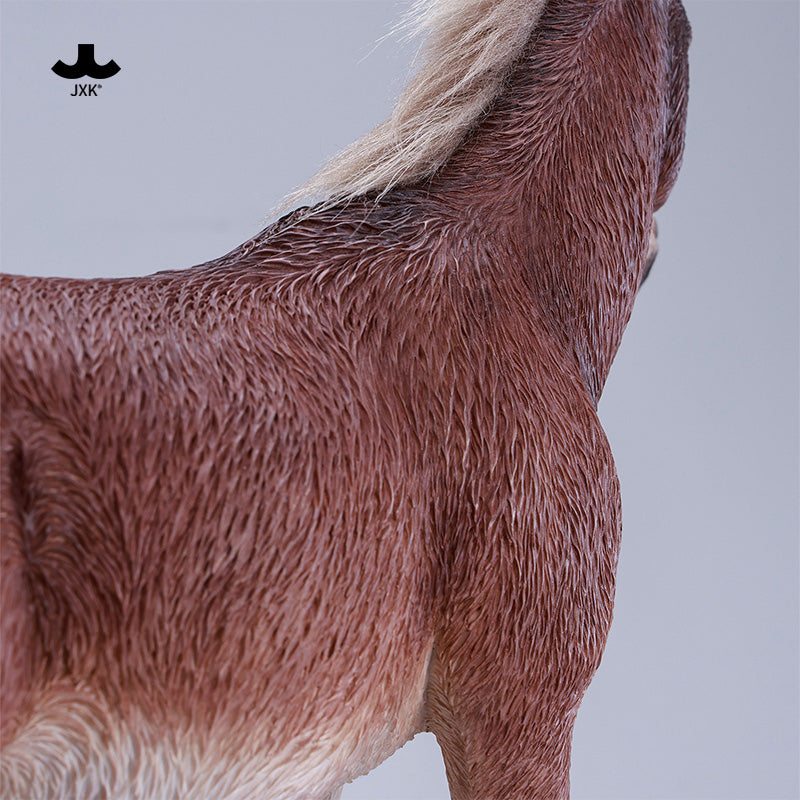 JXK307 Per-sale 1/6 mule from JXK Studio