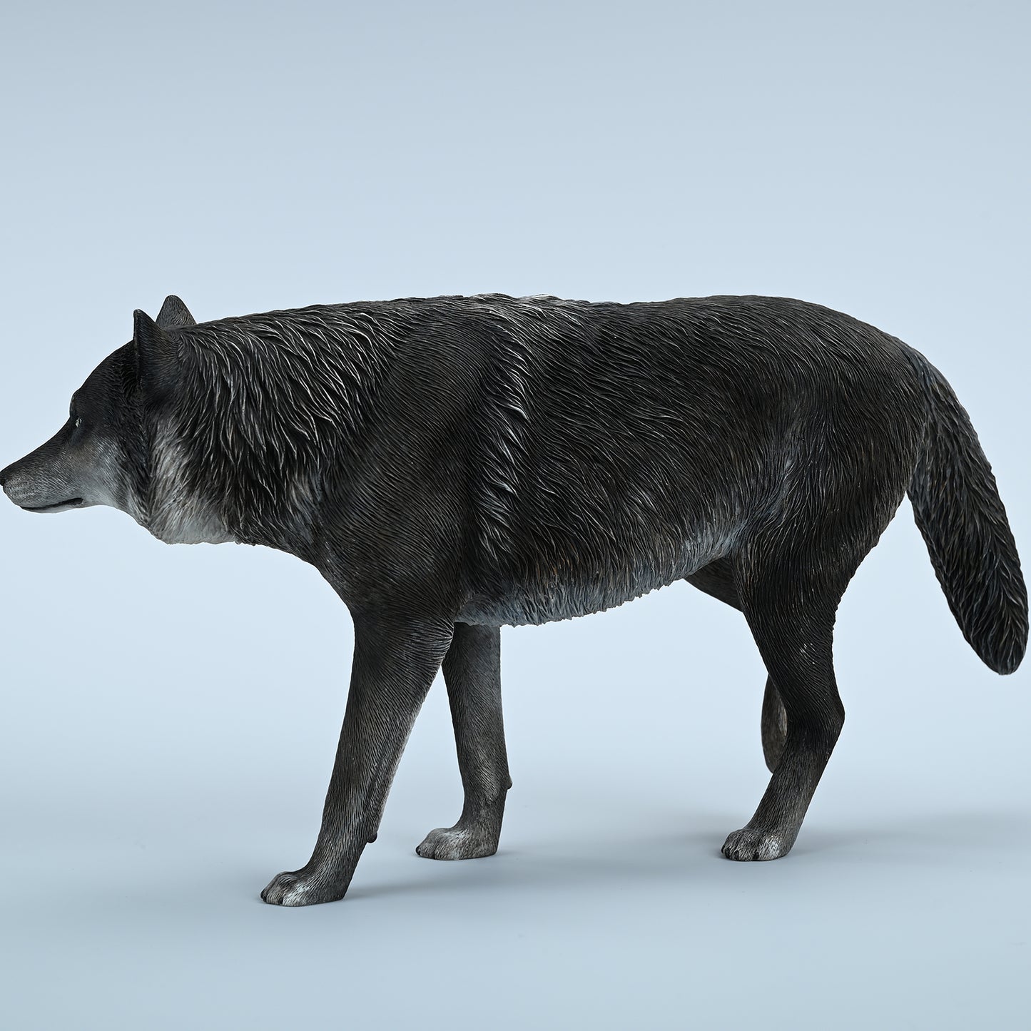 JXK223 1/6Common Gray wolf from JXK Studio