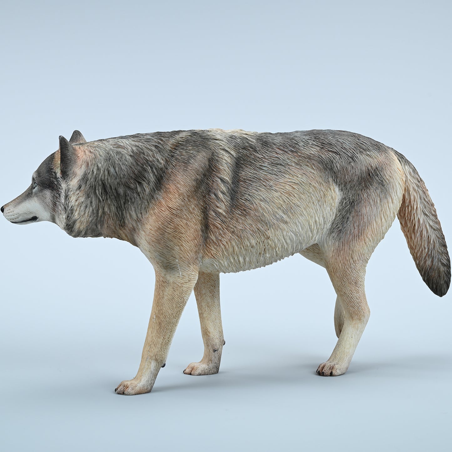 JXK223 1/6Common Gray wolf from JXK Studio