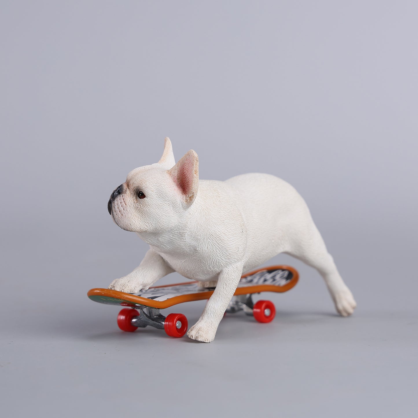 JXK243 1/6 Scale Skateboarding French Bull- dog from JXK Studio