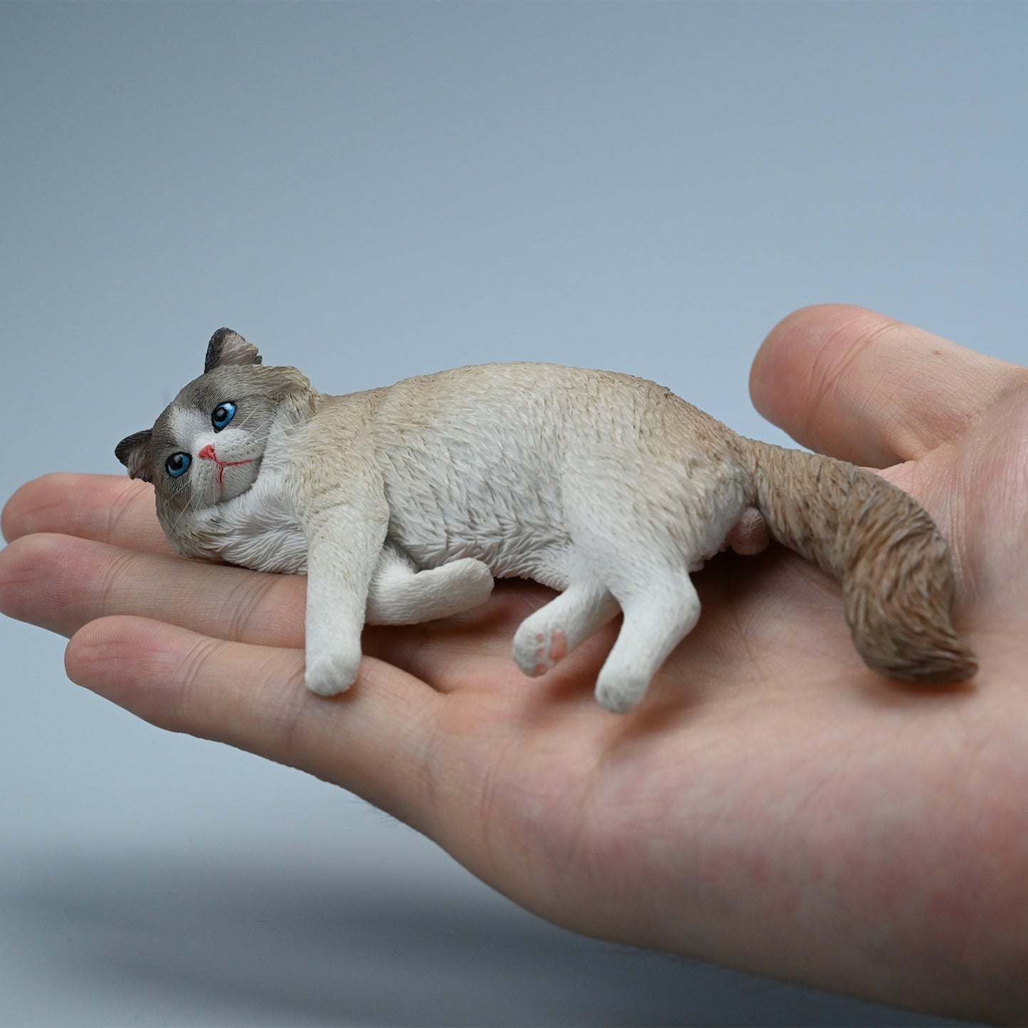 JXK222 1/6 Ragdoll3.0 from JXK Studio