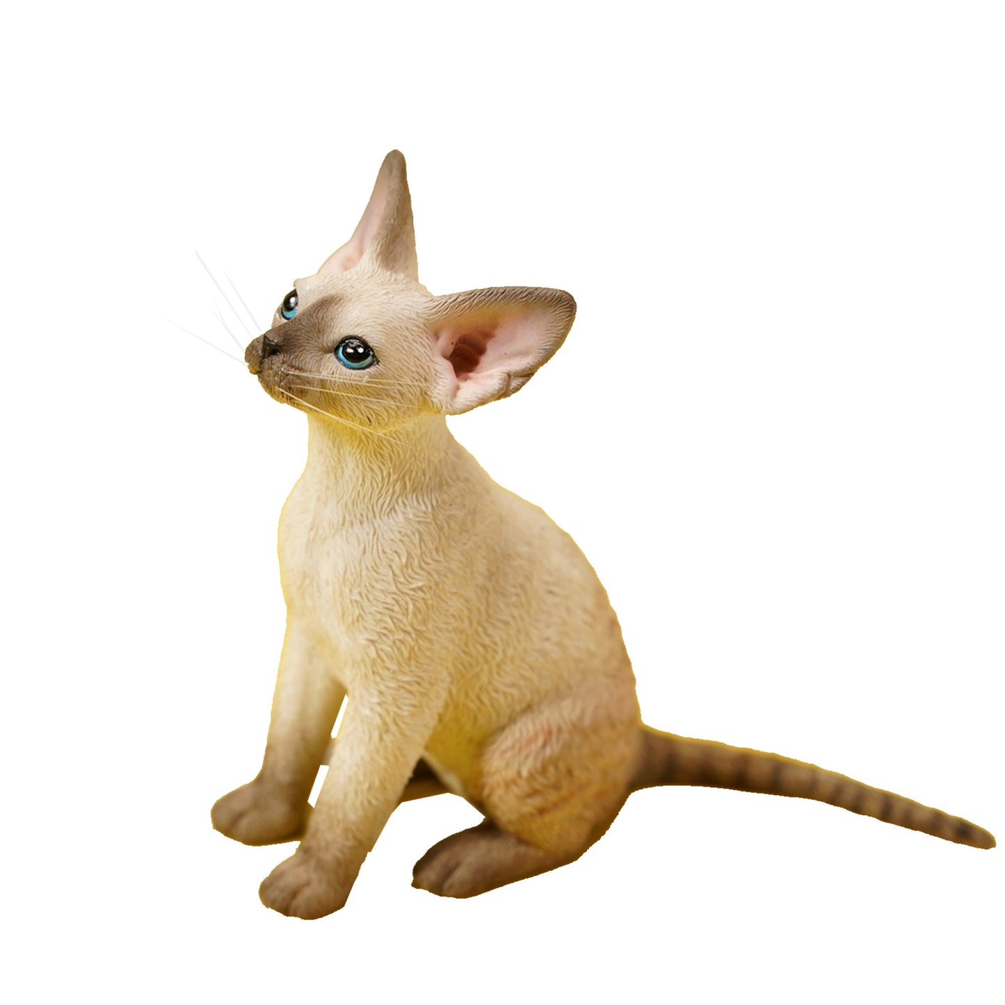 JXK123 Devon-Katze mit Krone, Geschenk für Katzenliebhaber von JXK Studio