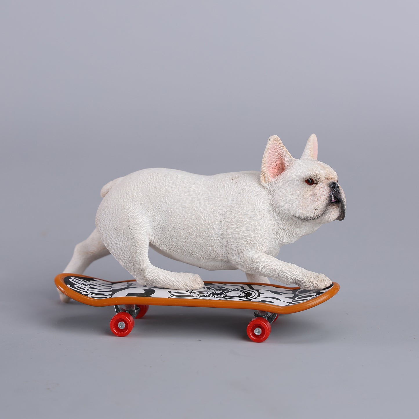 JXK243 1/6 Scale Skateboarding French Bull- dog from JXK Studio