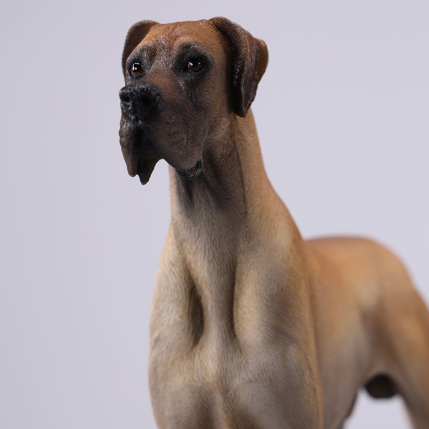 JXK237 1/6 Scale Great Dane Figurine from JXK Studio