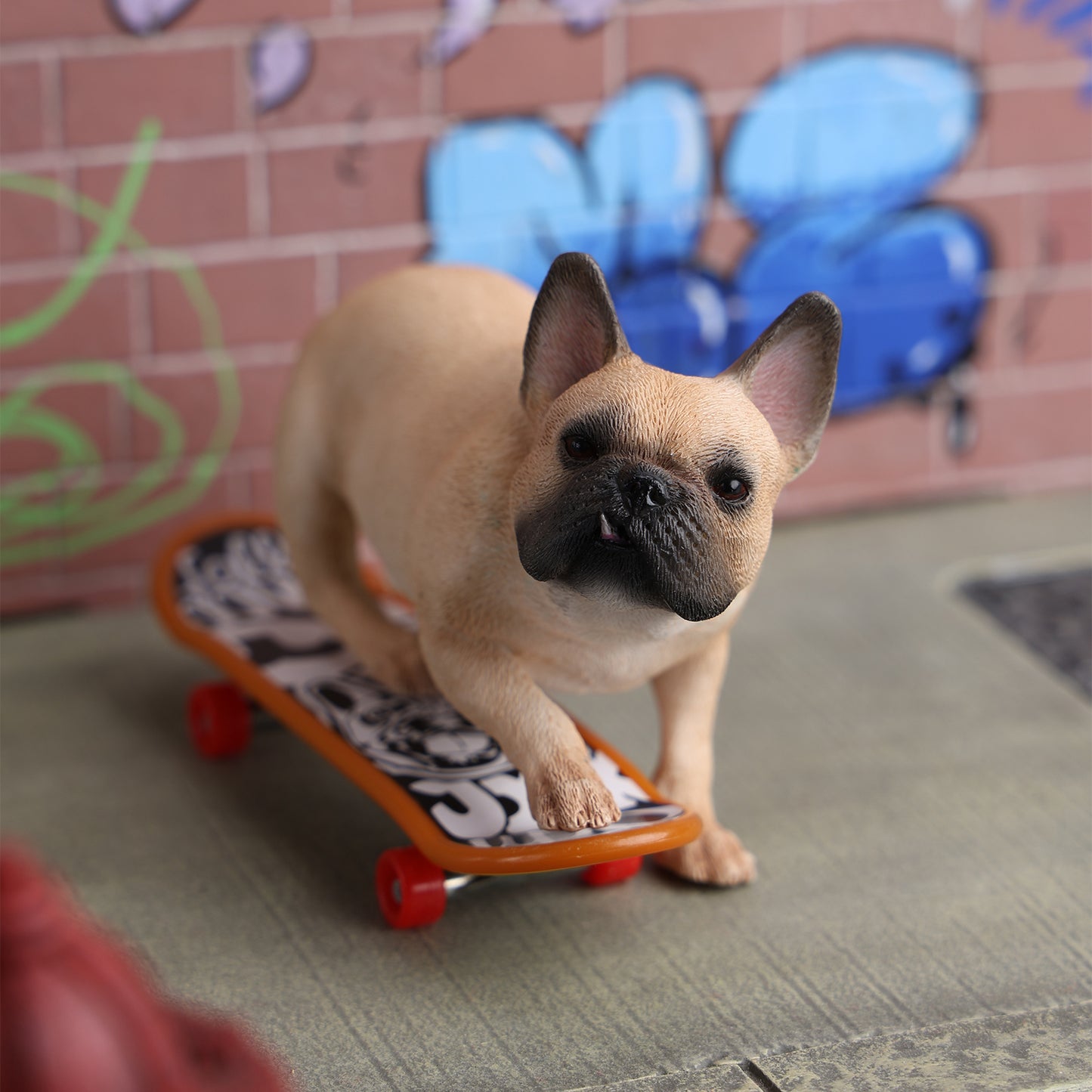 JXK243 1/6 Scale Skateboarding French Bull- dog from JXK Studio