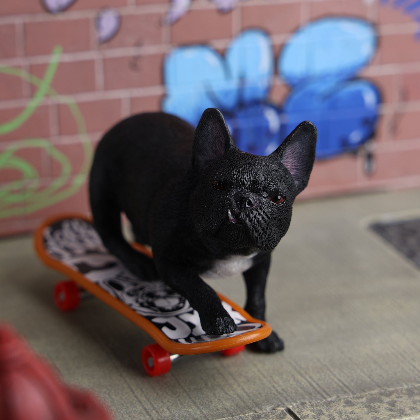 JXK243 1/6 Scale Skateboarding French Bull- dog from JXK Studio