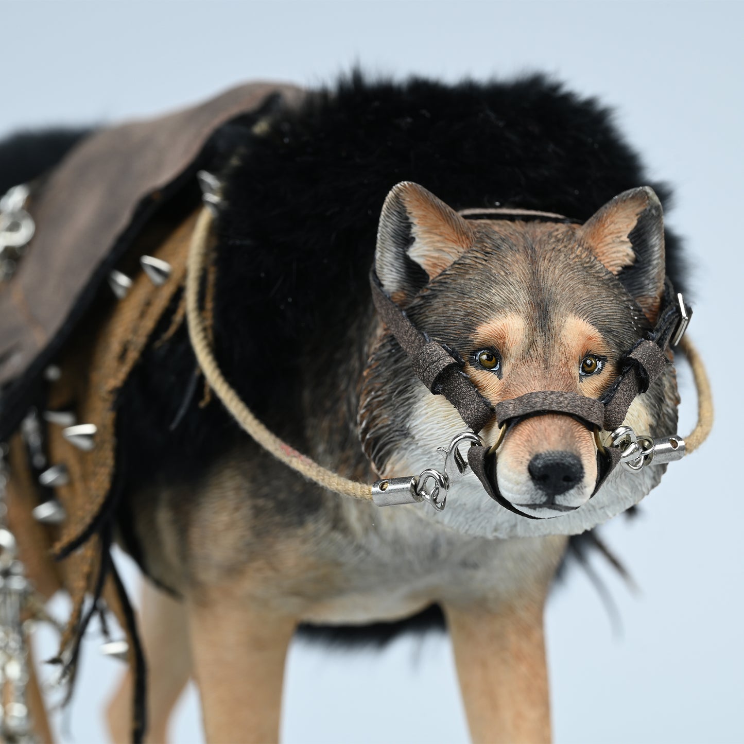 JXK223 1/6Common Gray wolf from JXK Studio