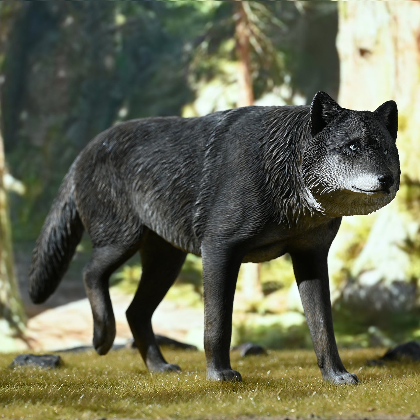 JXK223 1/6Common Gray wolf from JXK Studio