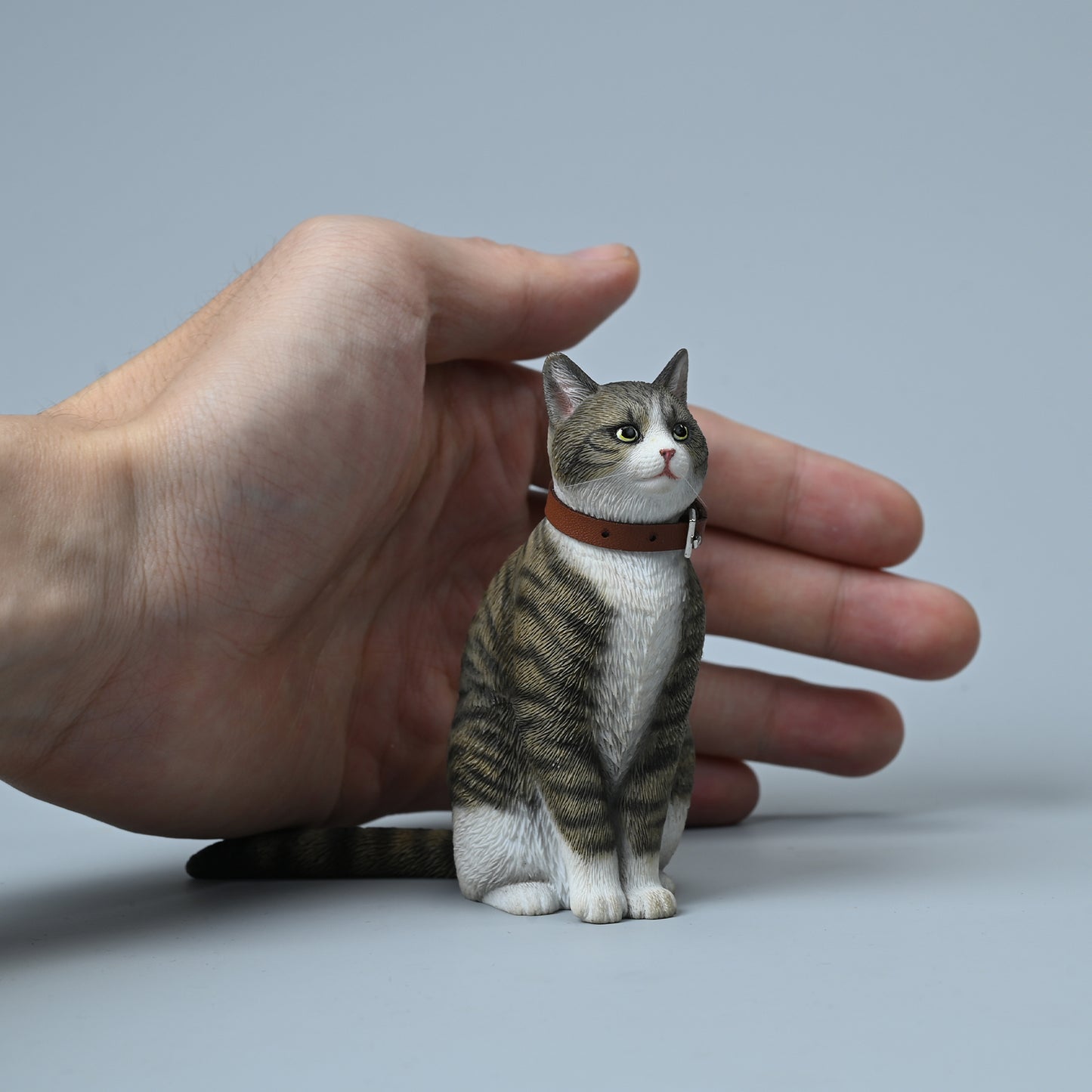 JXK218 1/6Felis Catus5.0 from JXK Studio