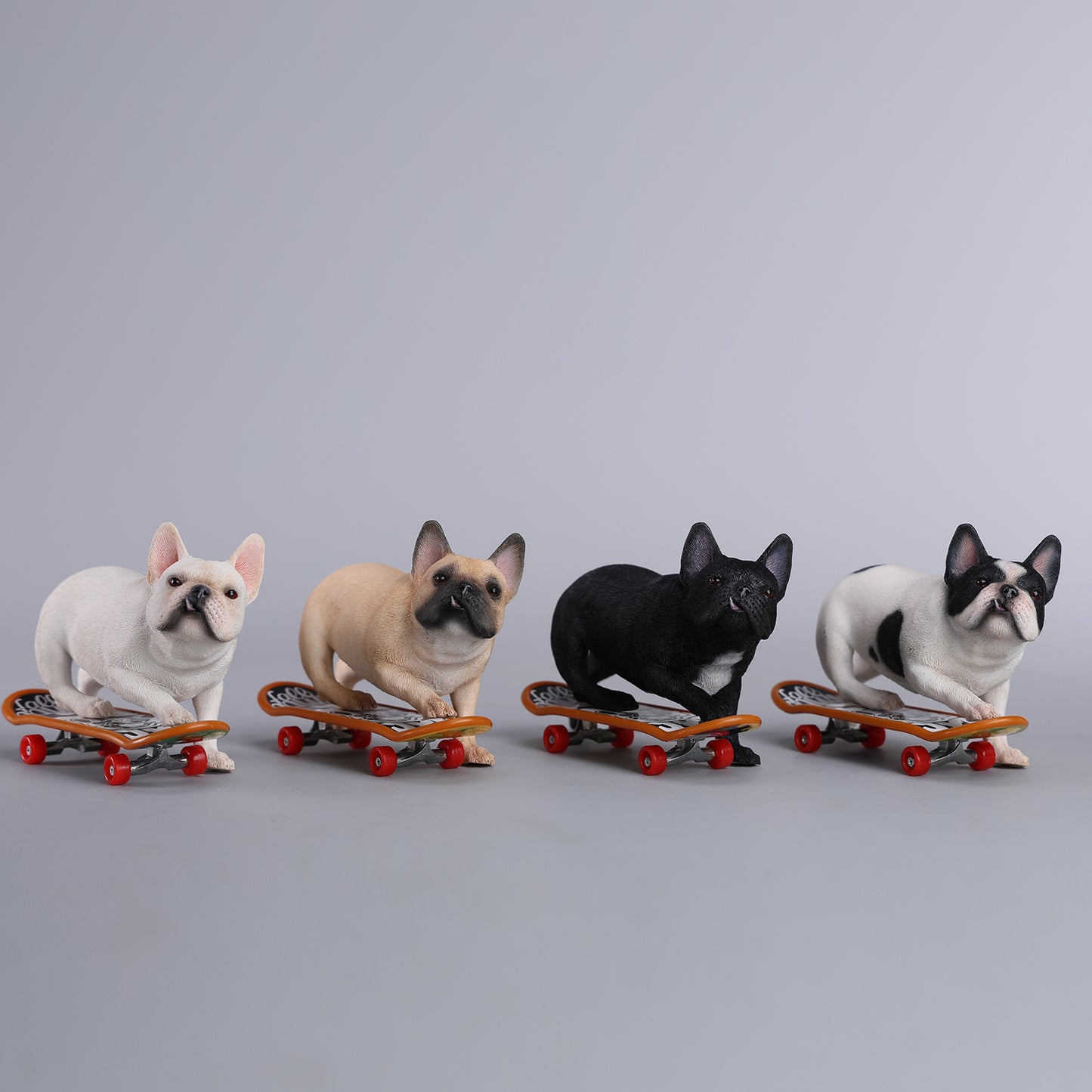 JXK243 1/6 Scale Skateboarding French Bull- dog from JXK Studio