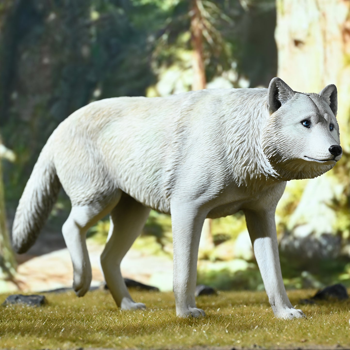 JXK223 1/6Common Gray wolf from JXK Studio