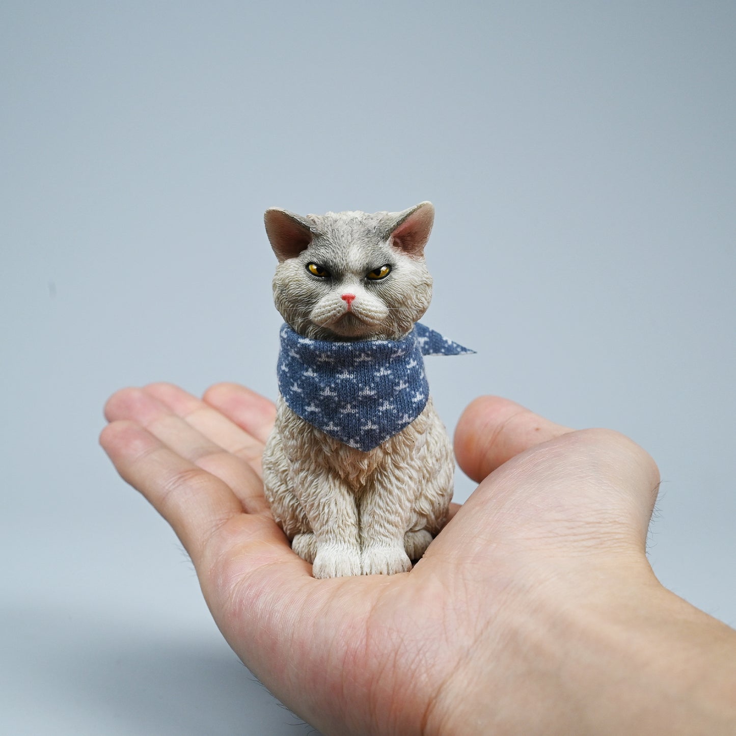 JXK214 1/6 Selkirk Rex von JXK Studio