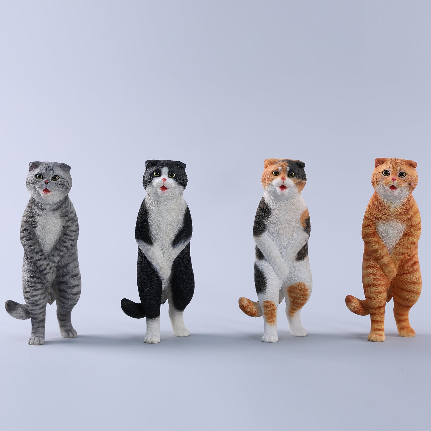 JXK230 1/6 Folded Eared CatProduct from JXK Studio