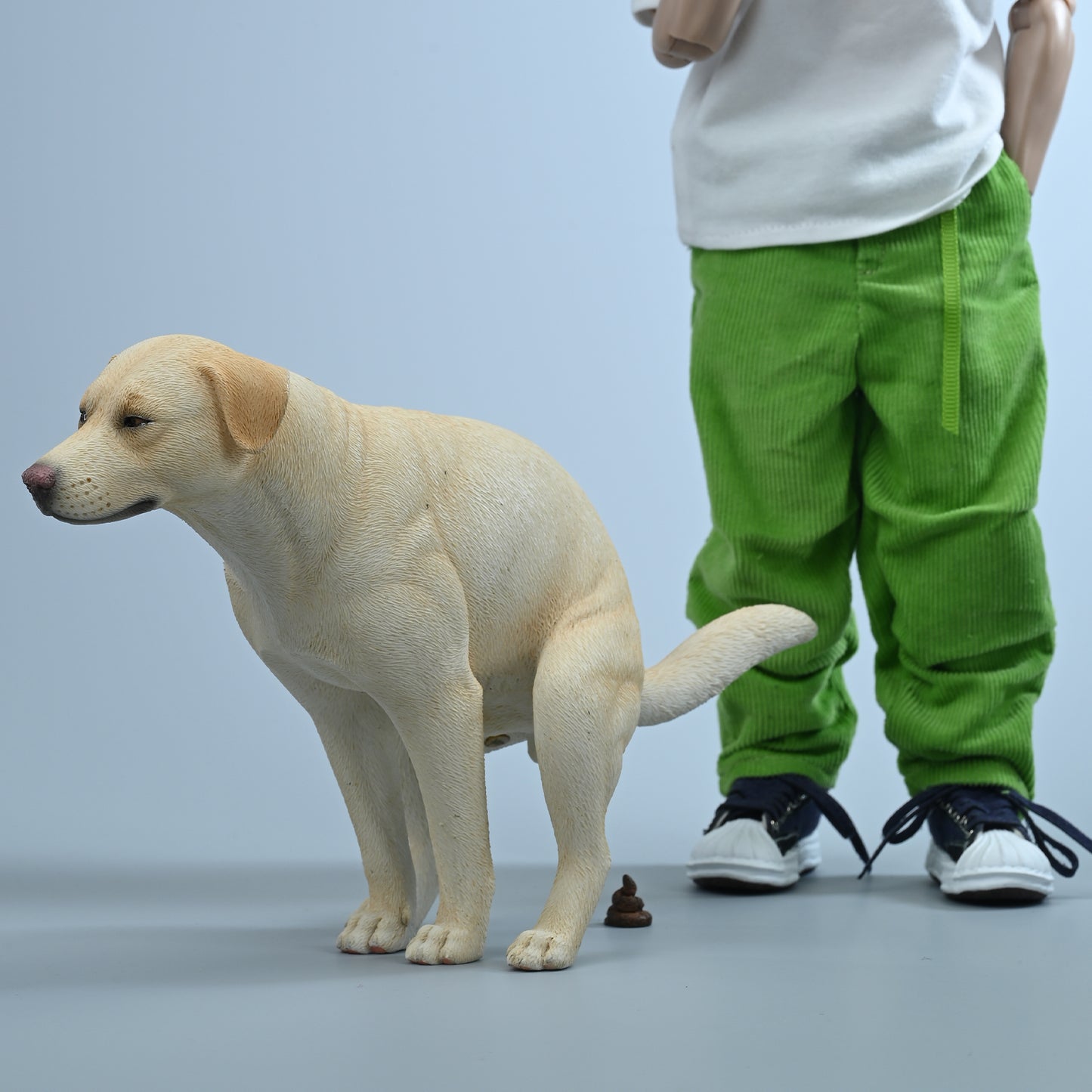 JXK213 1/6Labrador from JXK Studio