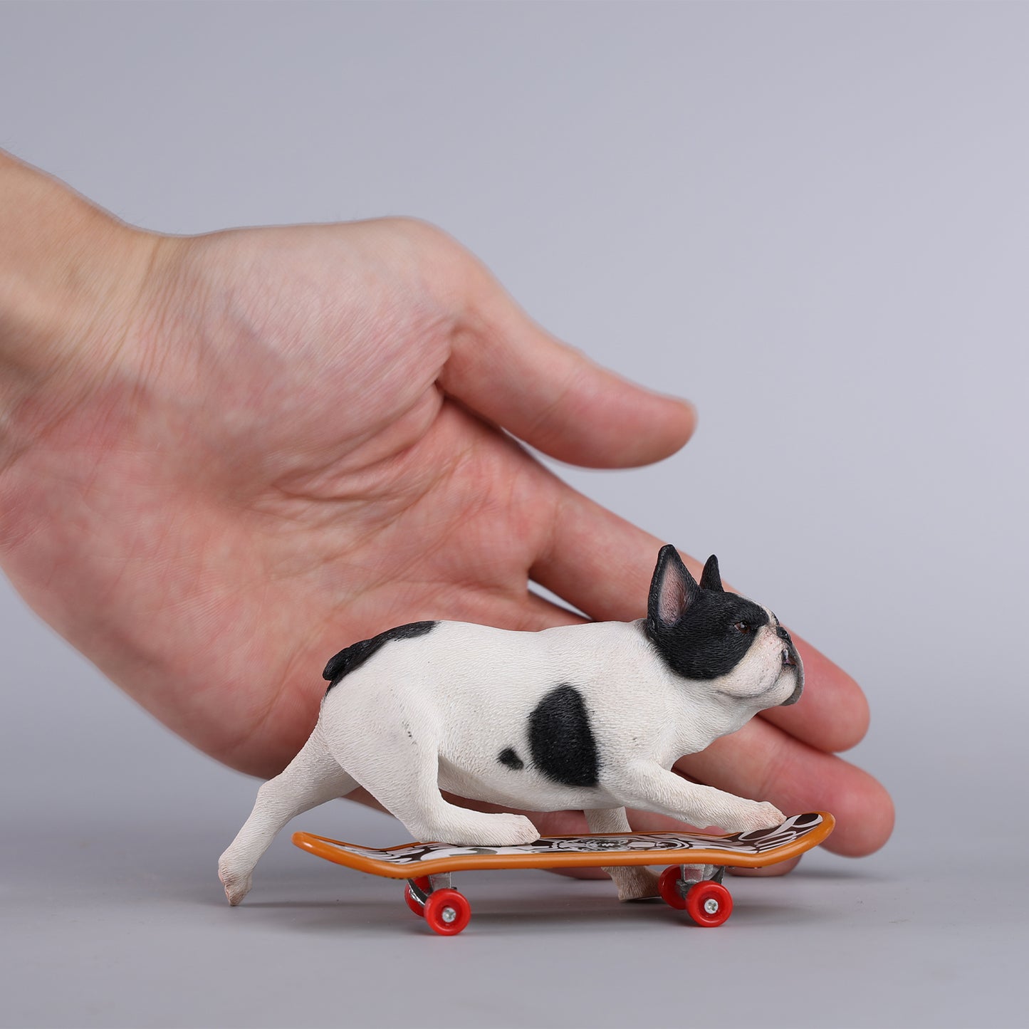 JXK243 1/6 Scale Skateboarding French Bull- dog from JXK Studio