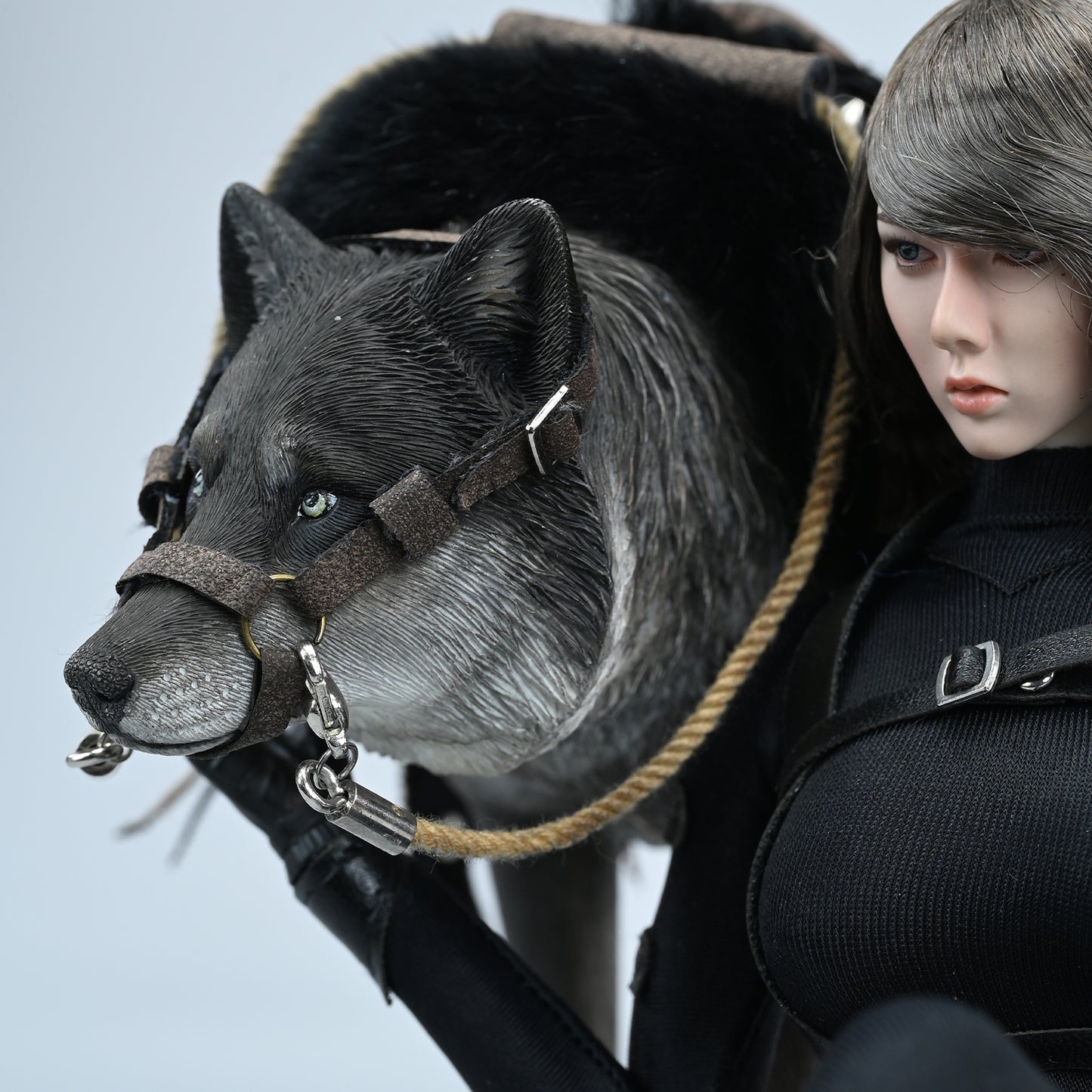 JXK223 1/6Common Gray wolf from JXK Studio