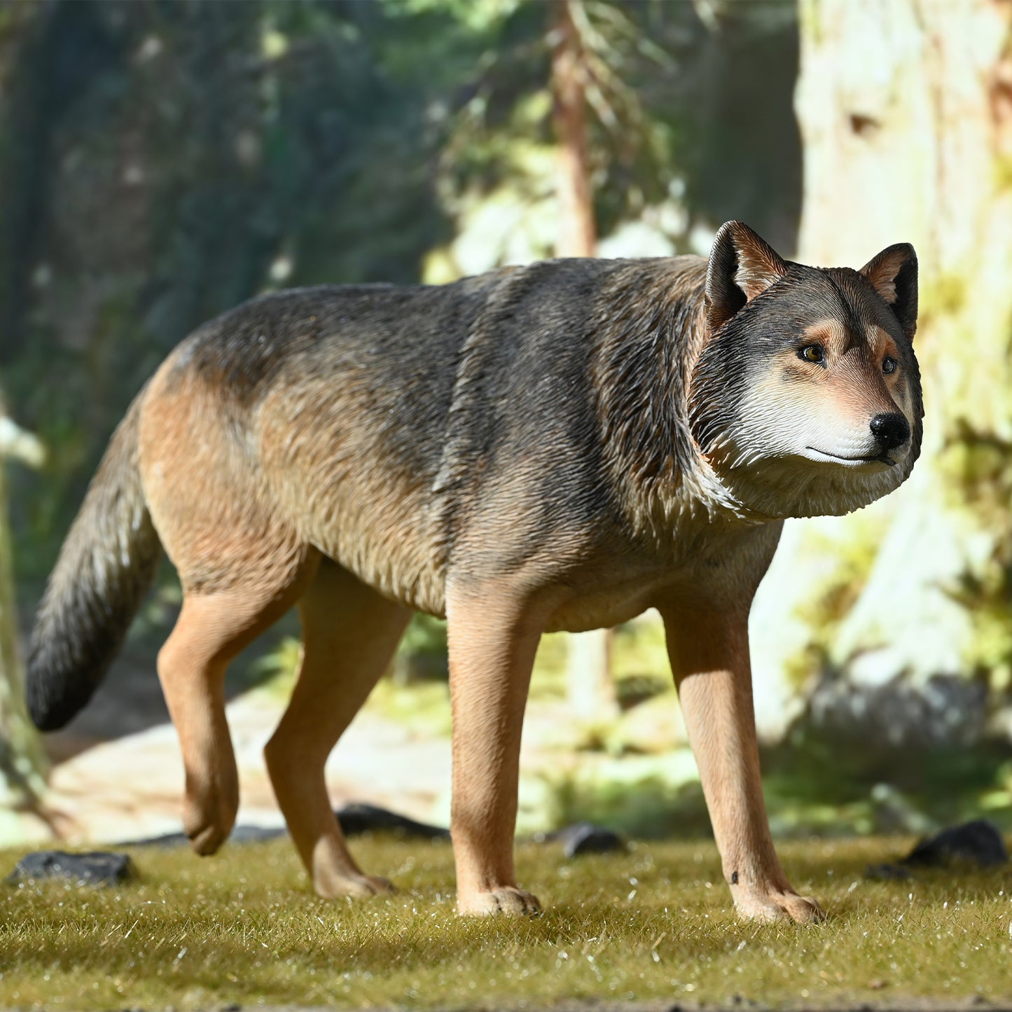 JXK223 1/6Common Gray wolf from JXK Studio
