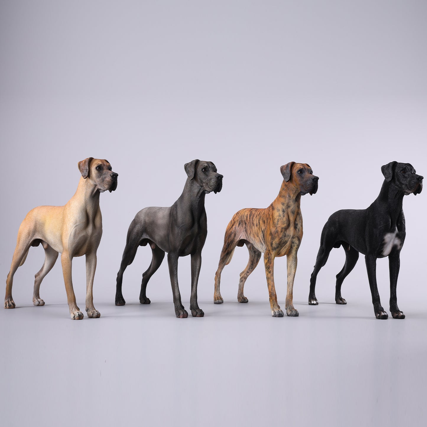 JXK237 1/6 Scale Great Dane Figurine from JXK Studio