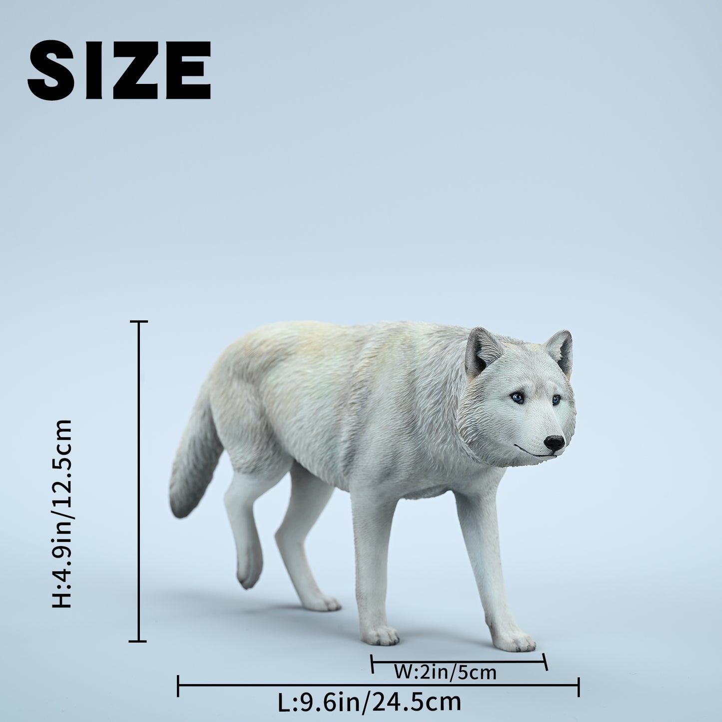 JXK223 1/6Common Gray wolf from JXK Studio