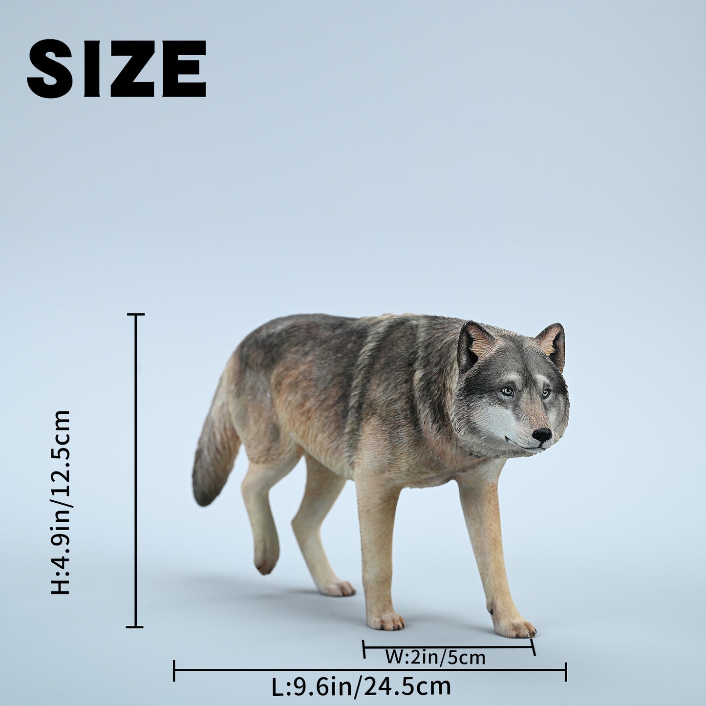JXK223 1/6Common Gray wolf from JXK Studio