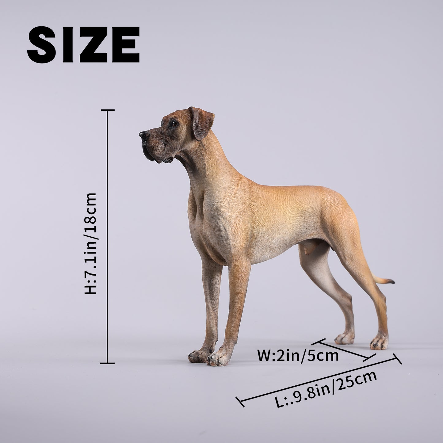 JXK237 1/6 Scale Great Dane Figurine from JXK Studio