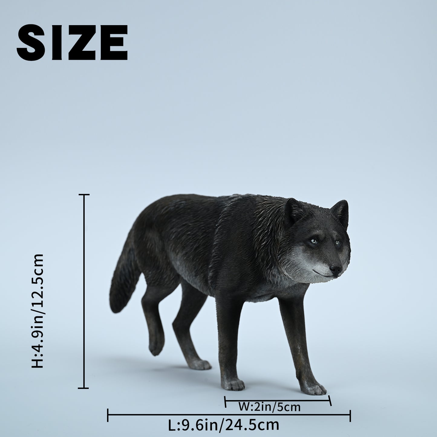 JXK223 1/6Common Gray wolf from JXK Studio