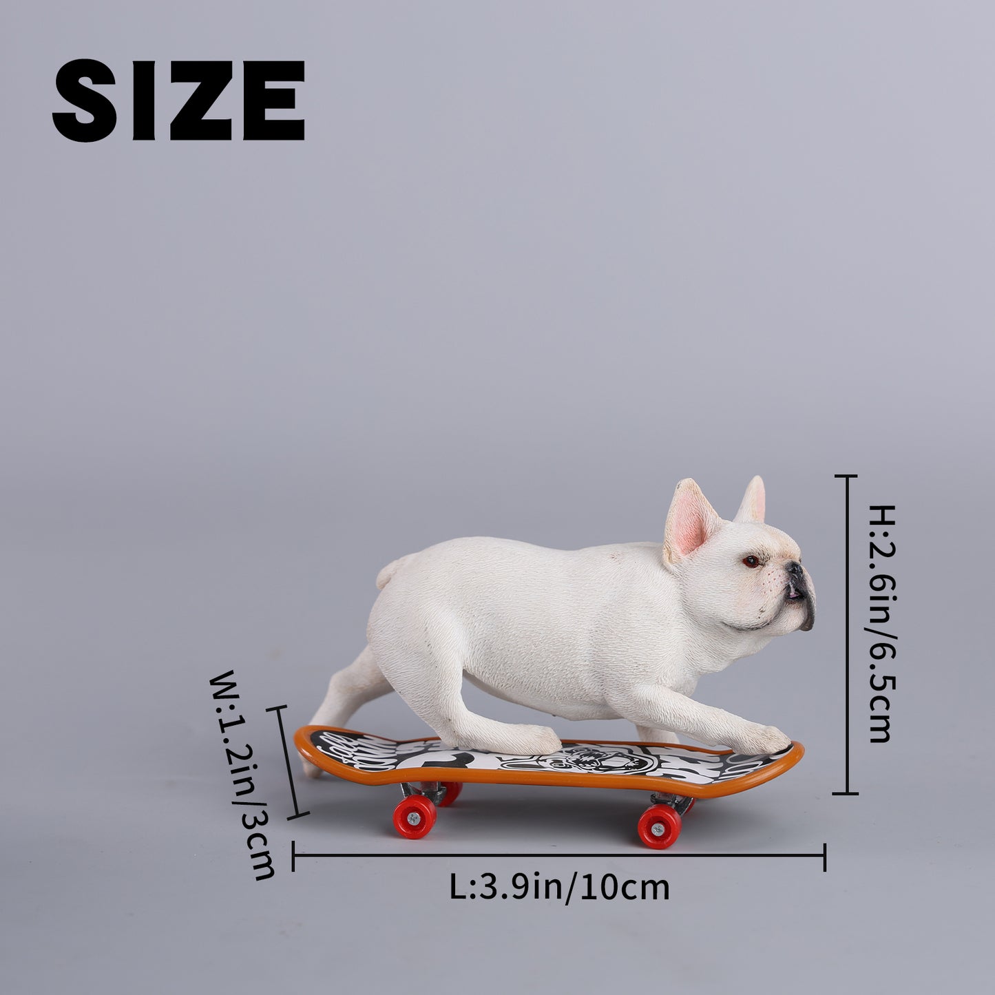 JXK243 1/6 Scale Skateboarding French Bull- dog from JXK Studio