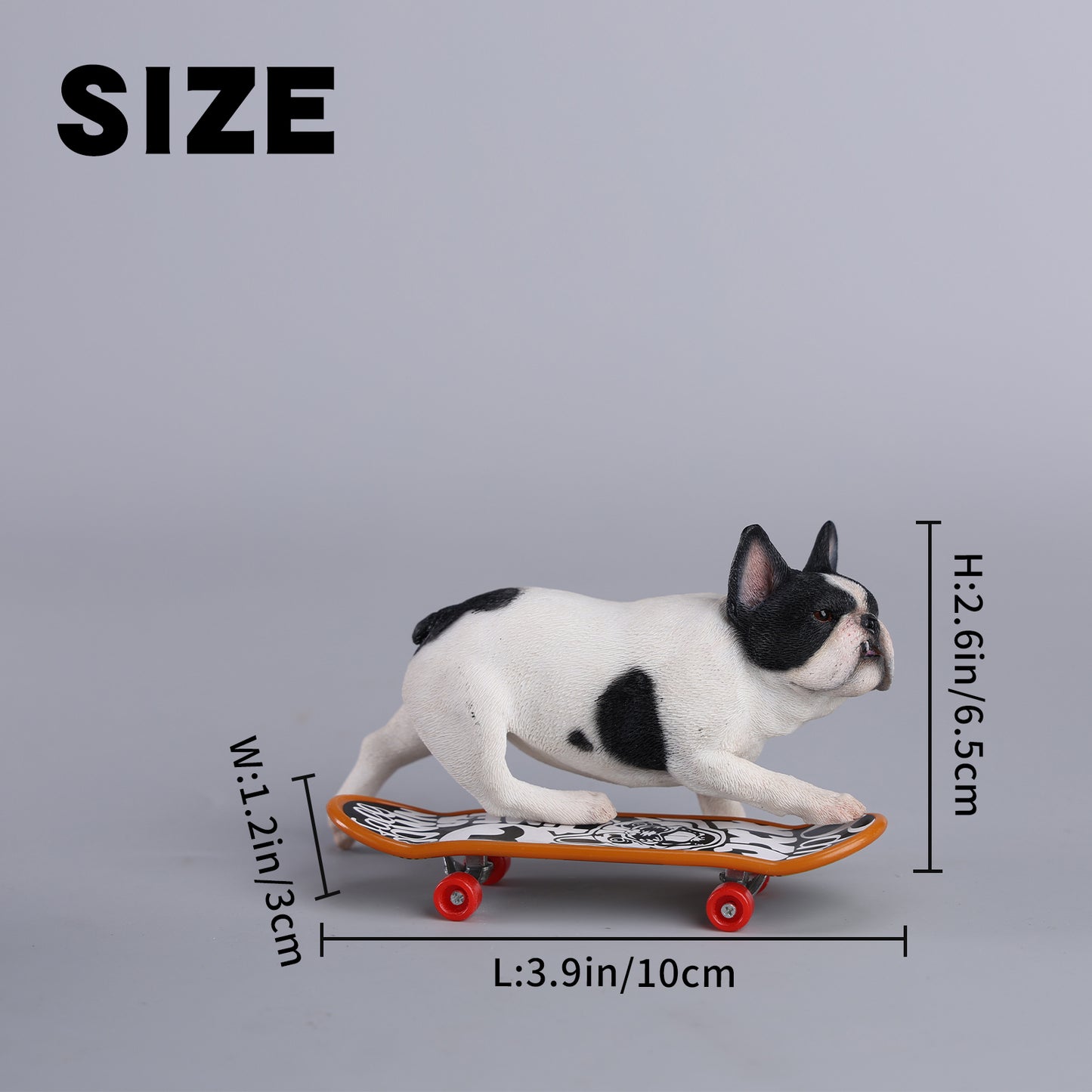 JXK243 1/6 Scale Skateboarding French Bull- dog from JXK Studio