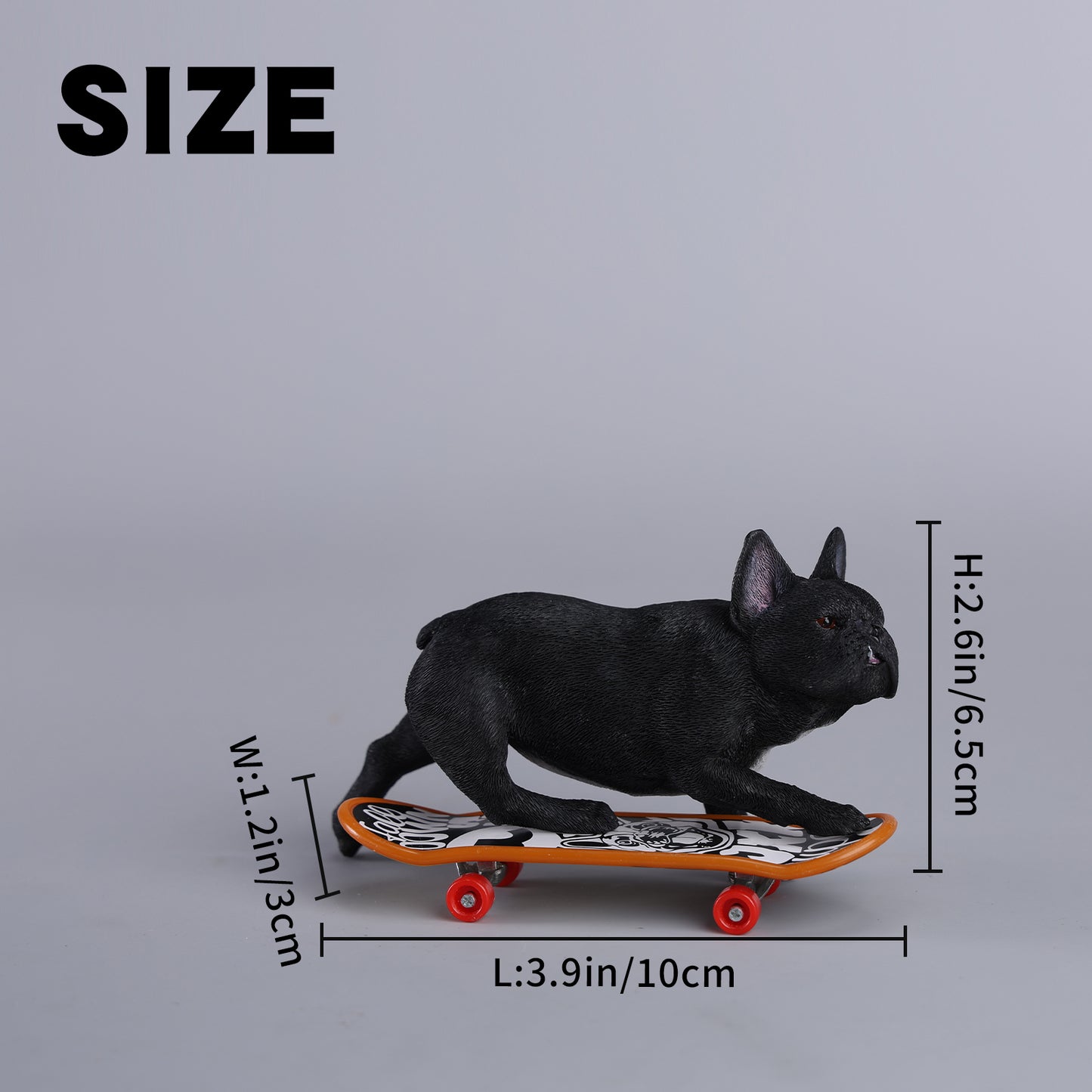 JXK243 1/6 Scale Skateboarding French Bull- dog from JXK Studio