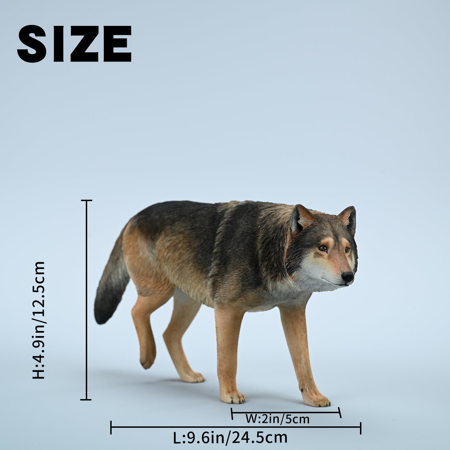 JXK223 1/6Common Gray wolf from JXK Studio