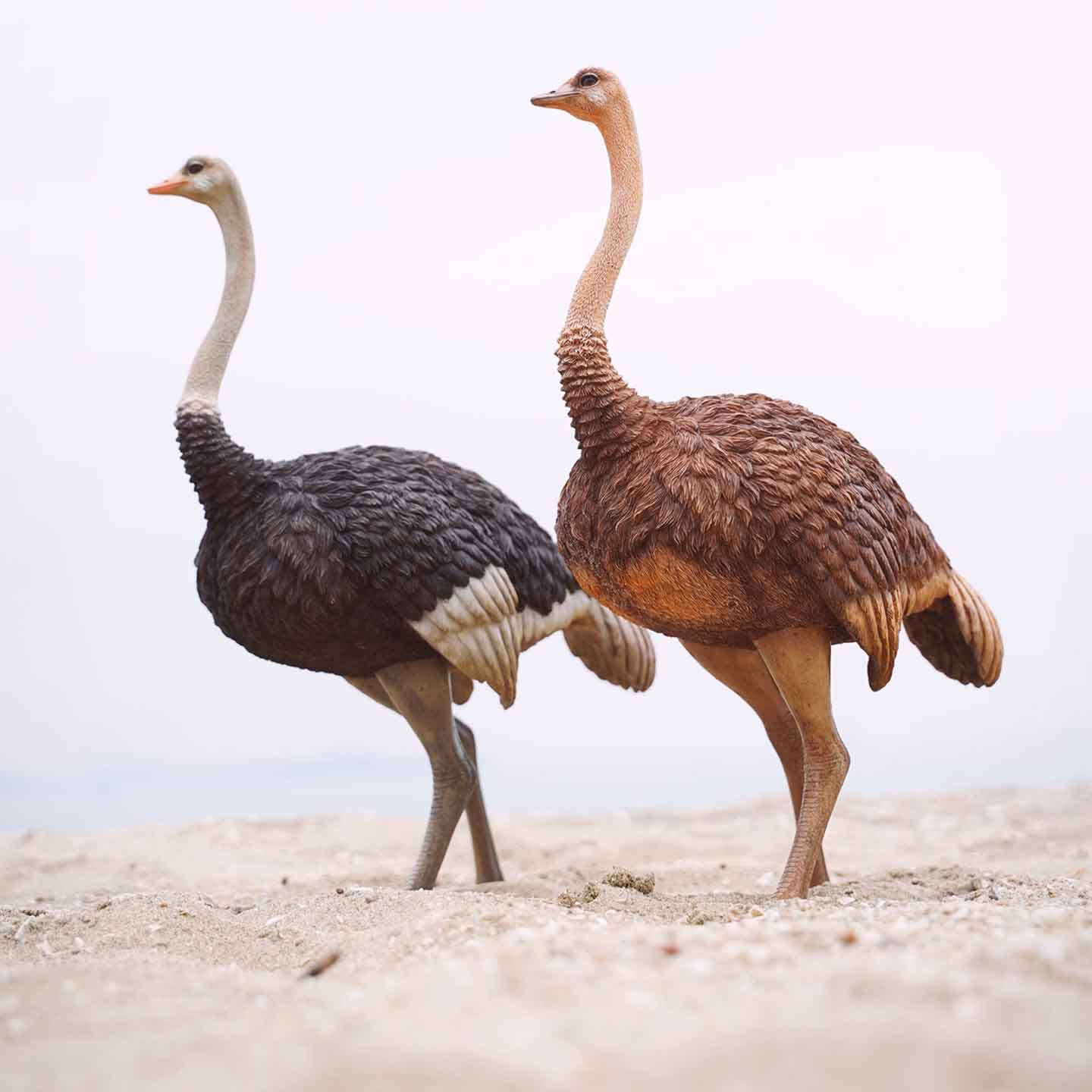 JXK097 15" Ostrich Statue, Realistic Animal Statue Gifts for Friends from JXK Studio