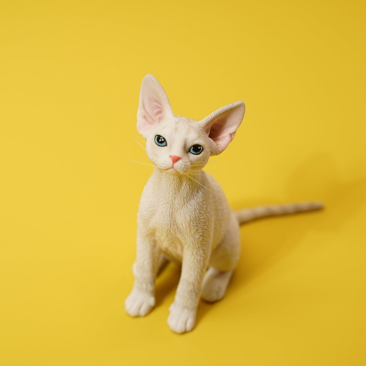 JXK123 Devon-Katze mit Krone, Geschenk für Katzenliebhaber von JXK Studio