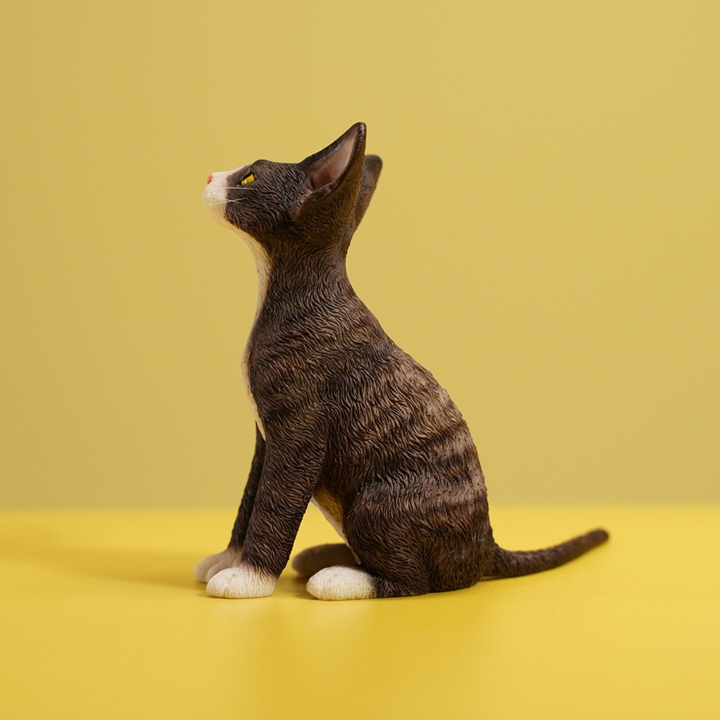 JXK123 Devon-Katze mit Krone, Geschenk für Katzenliebhaber von JXK Studio