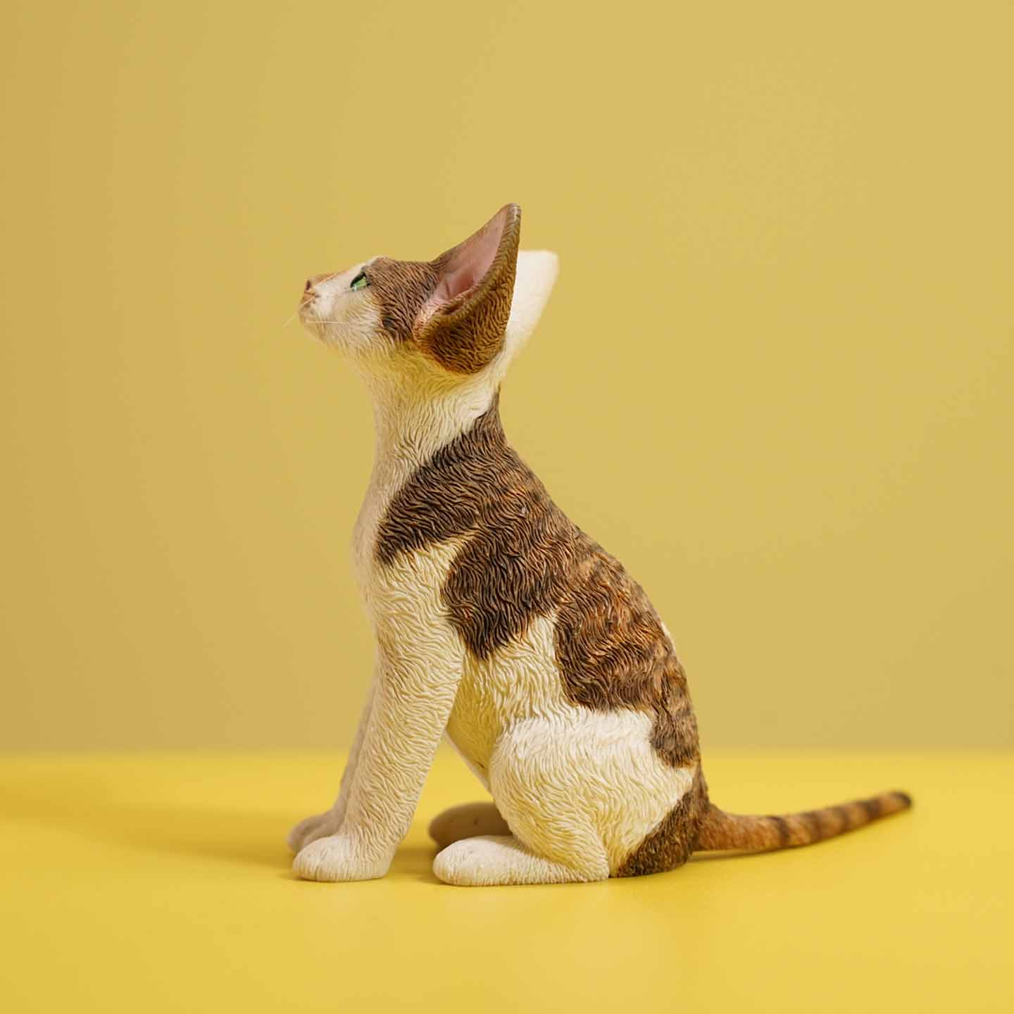 JXK123 Devon-Katze mit Krone, Geschenk für Katzenliebhaber von JXK Studio