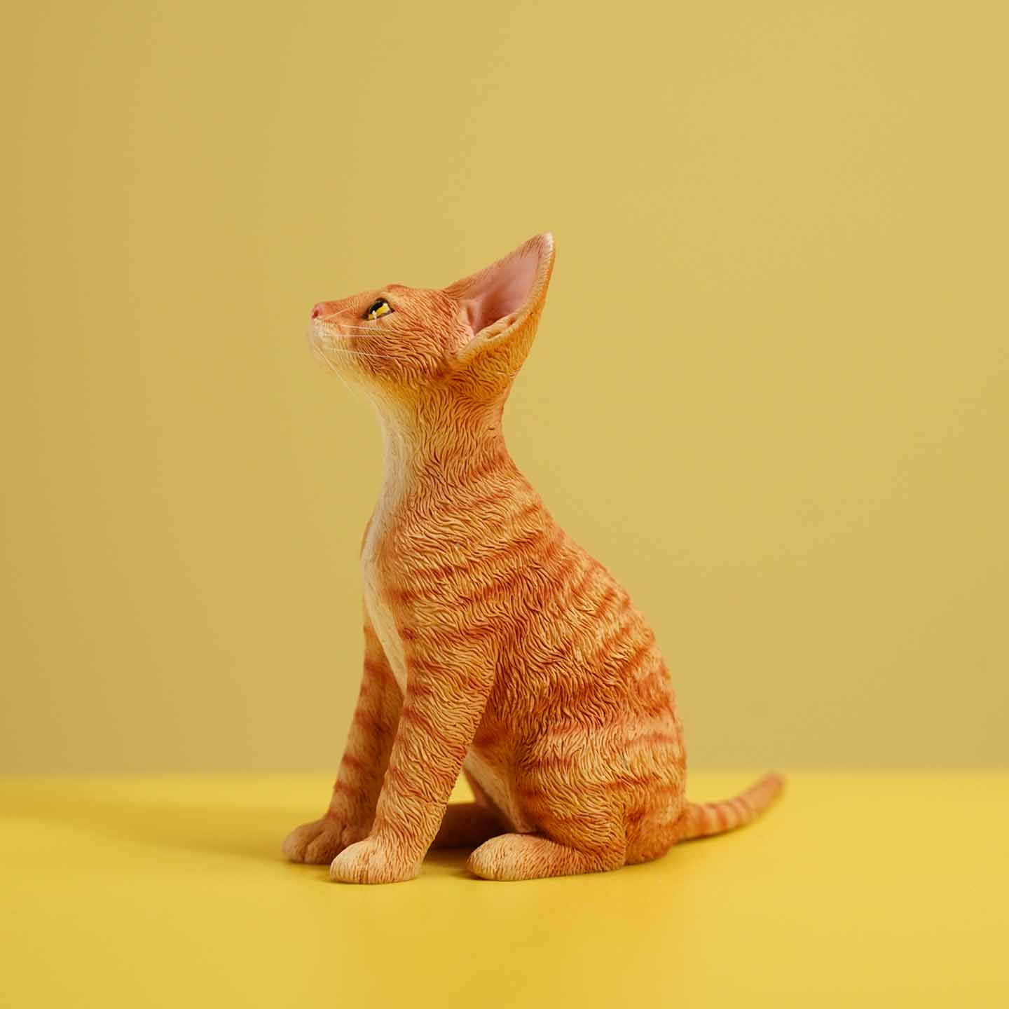 JXK123 Devon-Katze mit Krone, Geschenk für Katzenliebhaber von JXK Studio