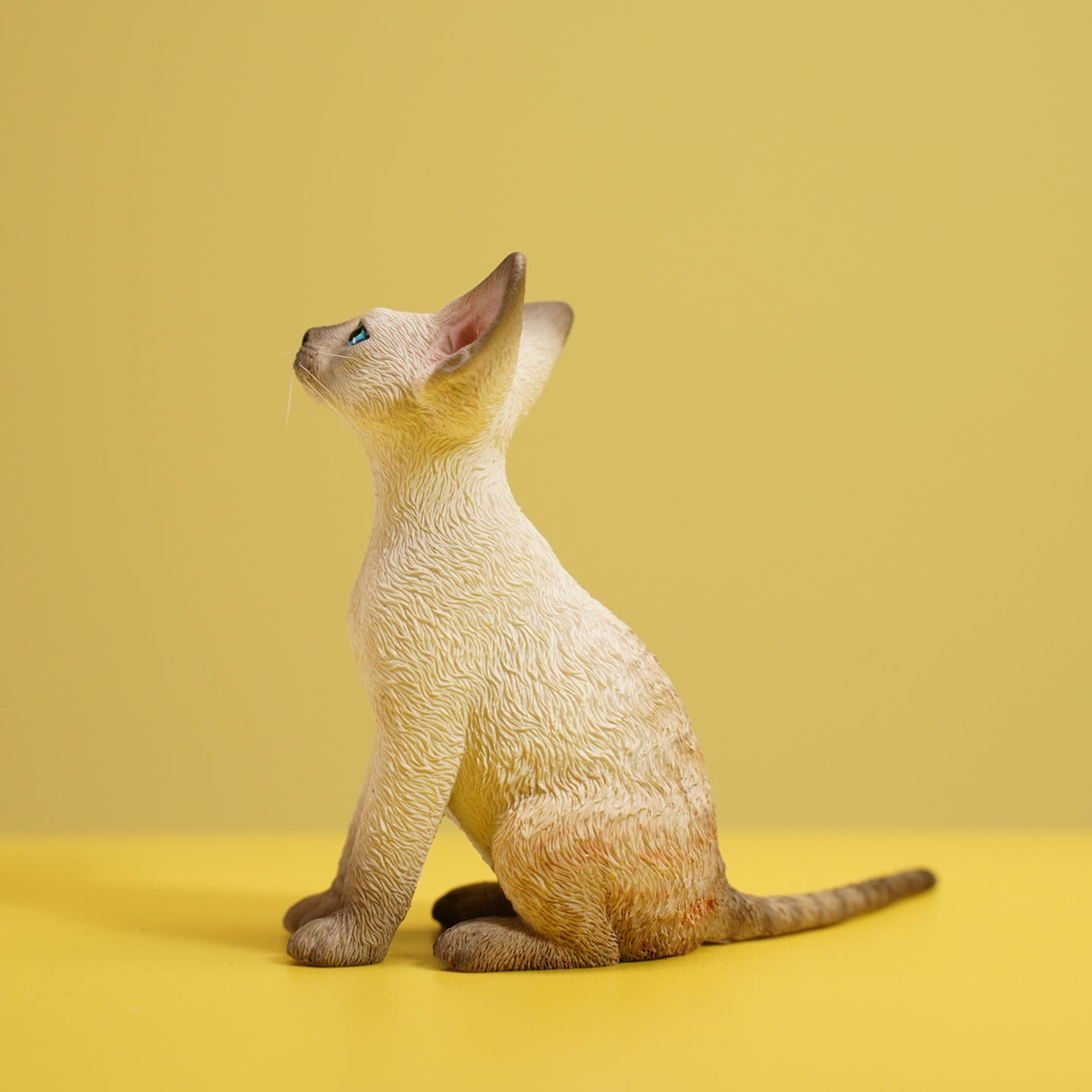 JXK123 Devon-Katze mit Krone, Geschenk für Katzenliebhaber von JXK Studio