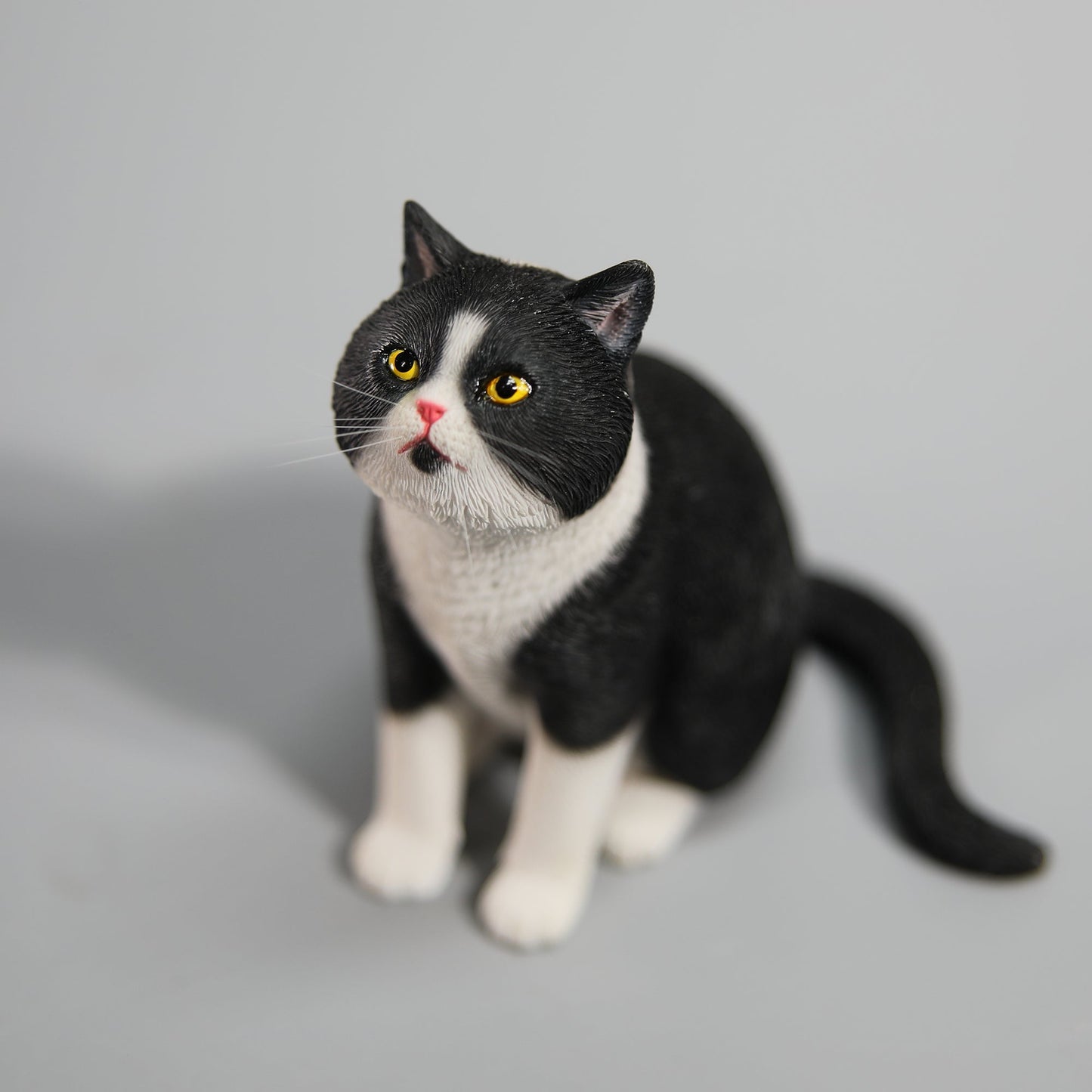 JXK141 帽子をかぶったプリンセス猫、猫好きの方へのプレゼント