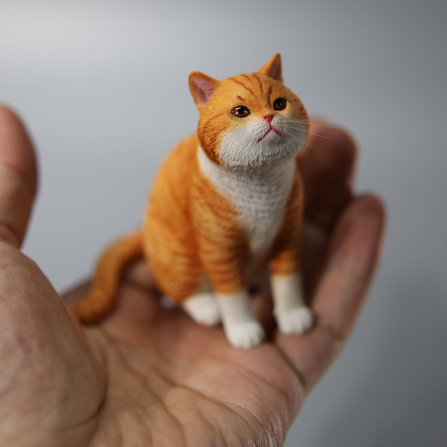 JXK141 帽子をかぶったプリンセス猫、猫好きの方へのプレゼント