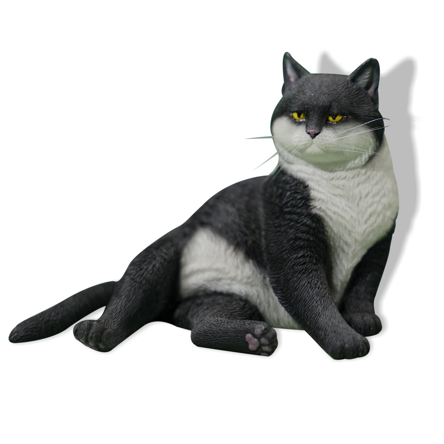 JXK153 Katzen aus der Verbotenen Stadt, Geschenk für Katzenliebhaber von JXK Studio