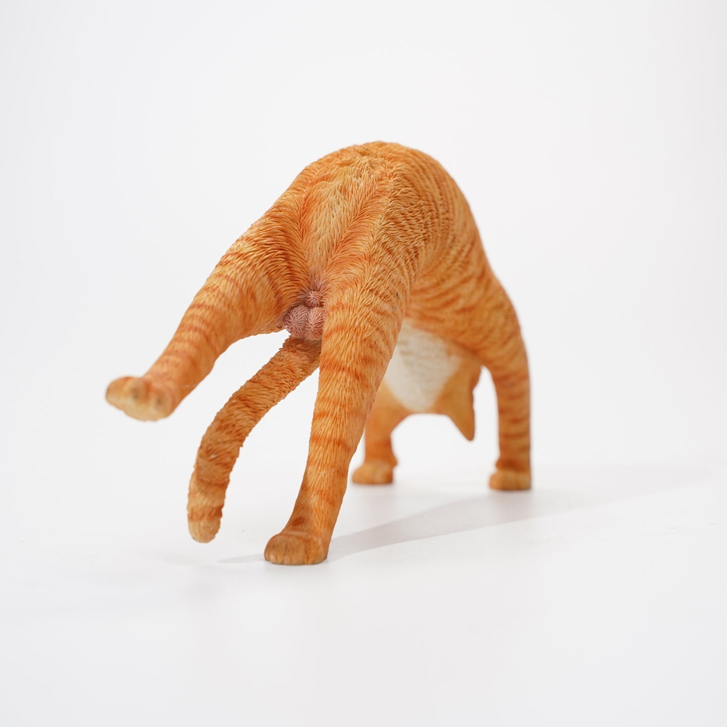 JXK159 Katze beim Yoga, das Geschenk für Katzenliebhaber 3.0 von JXK Studio