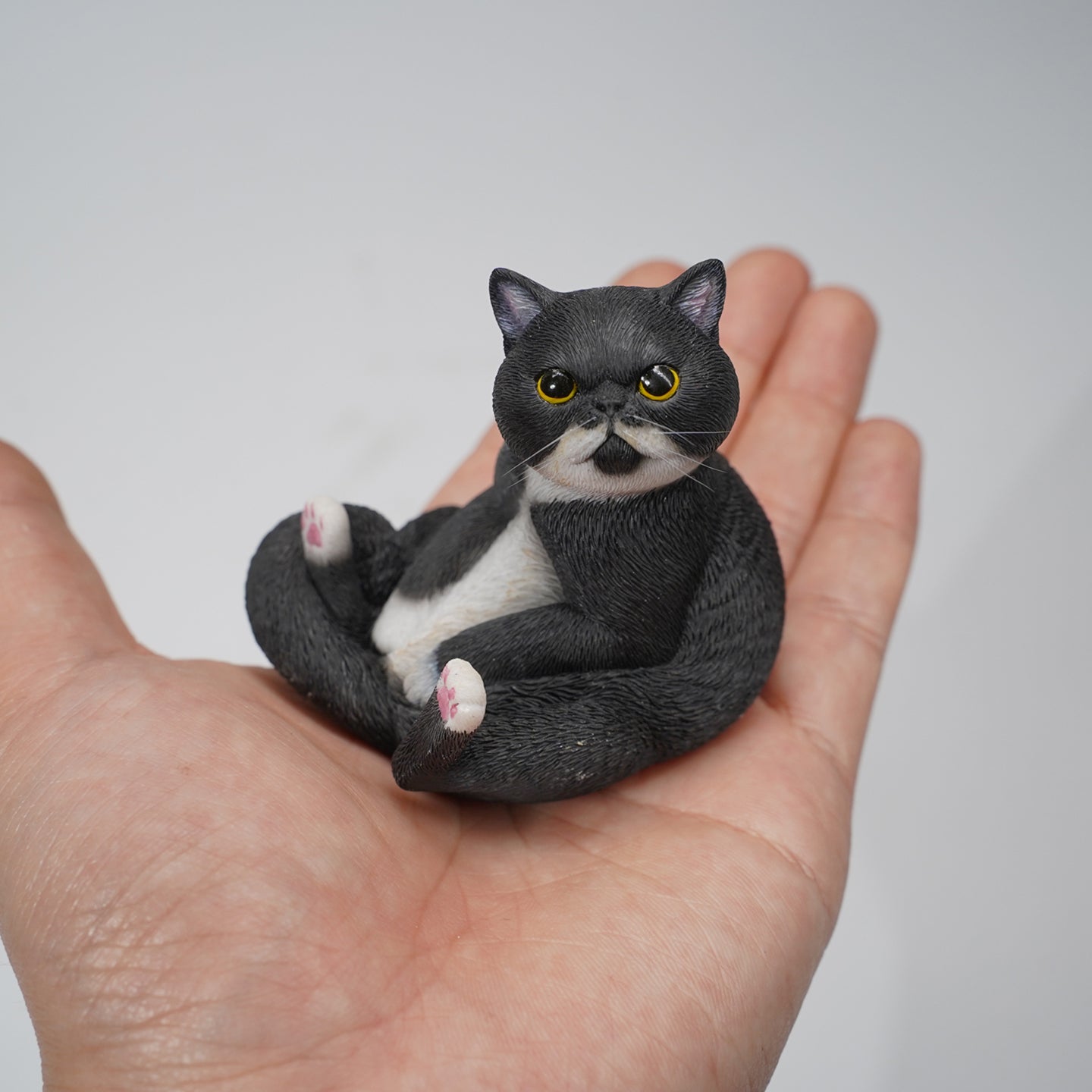 JXK162 Die faule Katze sitzt auf dem Sofa, das Geschenk für Katzenliebhaber 8.0 von JXK Studio