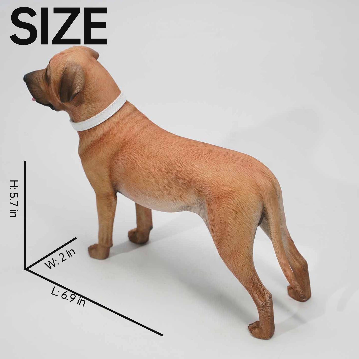 JXK167 Tosa Inu dog figurine dog statue gift for dog lovers from JXK Studio