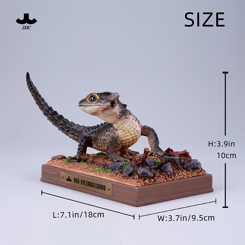 JXK305 Per-sale Tribolonotus gracilis from JXK Studio