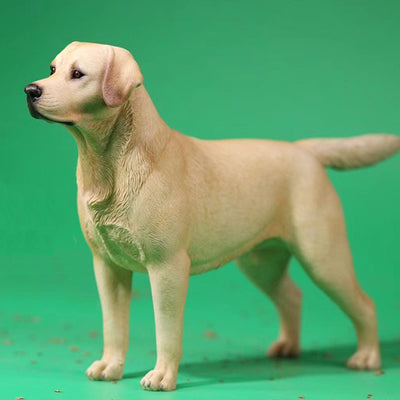 MRZ025 Sixth Scale Labrador dog decor from JXK Studio