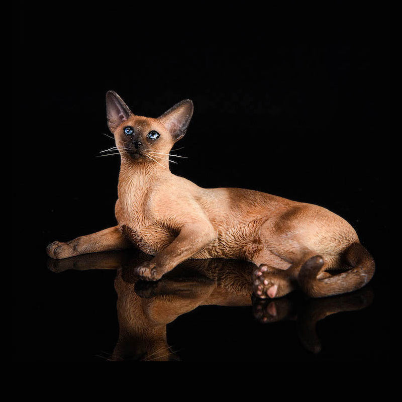 JXK016 Siamese Cat Figurine Resin Cat Statue Decor for Desktop Gifts for Cat Lovers from JXK Studio